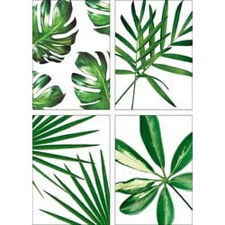 Artland Poster Blätter, Blätter (4 St), Poster, Wandbild, Bild, Wandposter grün 29,7 cm x 42 cm