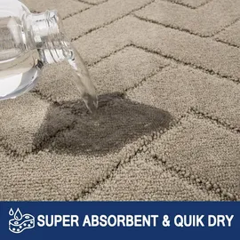 FCSDETAIL Schmutzfangmatte 60x90cm rutschfeste Fußmatte waschbar