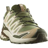 Salomon XA Pro 3D V9 GTX Herren Deep Lichen Green/Safari/Dark Earth 42
