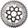 Shimano Ritzel 42 Zähne