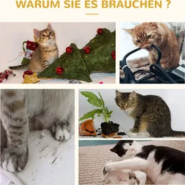 PawHut Katzenhaus mit Hängematte,