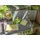CreaTable CreaTable, Serviergeschirr, Nature Collection