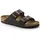 Birkenstock Arizona Naturleder habana 36