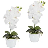 Kunstpflanze Orchidee Phalaenopsis Orchidee, Creativ green, Höhe 40 cm, im Keramiktopf weiß