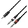 Adam Hall Cables Audiokabel 3,5mm Klinke stereo auf 2 x 6,3 1,0m (YWPP 0100)