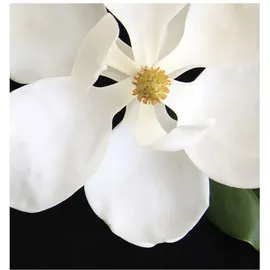 YODEYMA Tendenze Eau de Parfum 50 ml