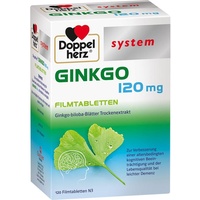 Queisser Doppelherz Ginkgo 120 mg system