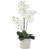 Decoline Künstliche Orchidee - Topf Beige XL - 55cm Blüten weiß