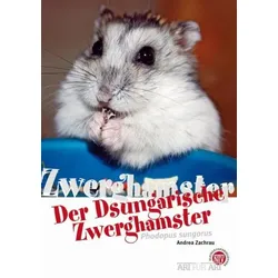 Der Dsungarische Zwerghamster