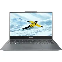 Medion E15423 39,6 cm (15,6 Zoll) Full HD Laptop (Intel Core i5-1155G7, 1TB SSD, 8GB LPDDR4X RAM, Win 11 Home)
