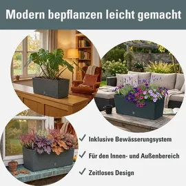 Prosperplast Rato Case 51,4 x 19 x 18,65 cm Anthrazit