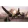 Classified: France '44