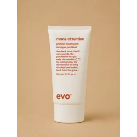 Evo Mane Attention Protein Treatment Maske 150 ml