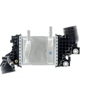 mahle Ladeluftkühler CI663000P