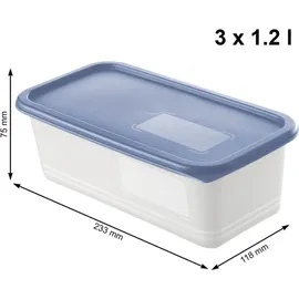 Rotho Domino 3 x 1,2 l blau Frischhaltedose Kühlschrankdose