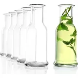 Stölzle Oberglas Purity Karaffe 0,75 Liter 6er Set, - Transparent