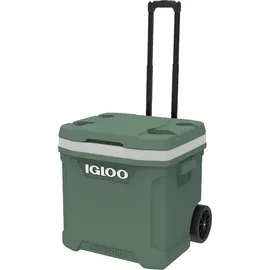 Igloo Igloo, Kühlbox, (58 l)