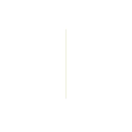 Möbel Kraft Wandspiegel Piovere 30 x 70 cm Gold