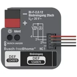 BUSCH JAEGER Binäreingang, 2fach, UP mit Kontaktabfragespannung