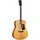 Cort Gold D6 Western Guitar