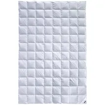 billerbeck Clivia 90 135x200 cm