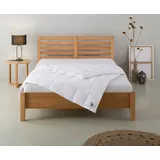 OTTO home Daunenbettdecke OTTO HOME "Lodiken Bettdecke 135x200 cm, 155x220 cm", weiß, B:135cm L:200cm, Bezug: 100% Baumwolle. Füllung: 70% Daunen, 30% Federn, Bettdecken, Bettdecken, Sommer, Herbst, Winter, Decke, DOWNPASS & Made in Germany