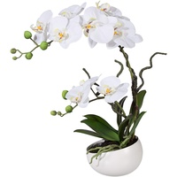 wohnfuehlidee Kunstpflanze Orchidee Phalenopsis, weiß, mit Deko-Keramik-Schale, Kunstblume Höhe 42 cm, Künstliche Orchidee im Topf