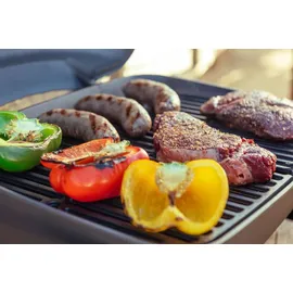 Nexgrill Fortress 1-Brenner Gasgrill