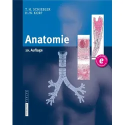 Anatomie