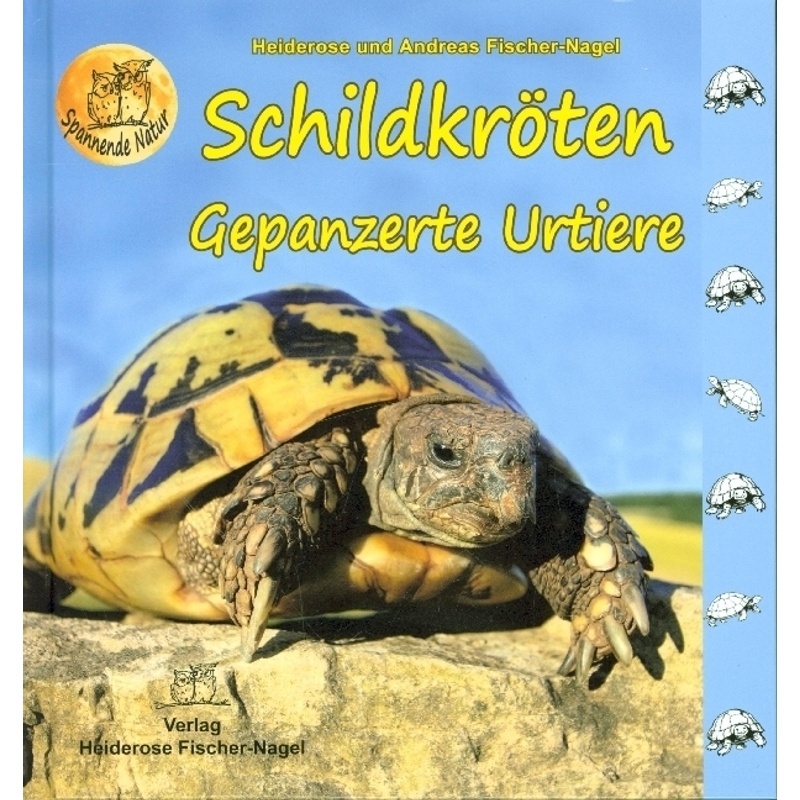 Schildkröten - Heiderose Fischer-Nagel, Gebunden