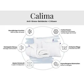 MKS GANZJAHRESBETTDECKE Anti-Stress-Effekt CALIMA 200/220 mit Kopfkissen 80/80