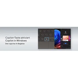 Asus Zenbook S16 OLED AMD Ryzen AI 9 365 24 GB RAM 1 TB SSD