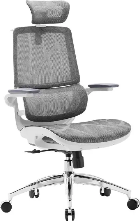SIHOO M59S Ergonomischer Bürostuhl mit 3D-synchron hochklappbaren Armlehnen, Doppelrückenkonstruktion und adaptiver dynamischer Lendenstütze, Grau