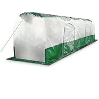 Bio Green BioGreen Folientunnel SUPERDOME 300 cm