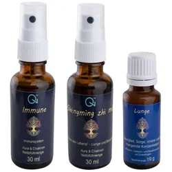 Qi - Health Lunge & Bronchien Kombipackung 77 g