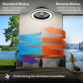 Briloner Deckenventilator 38 cm Schwarz