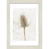 the wall - the art of framing ag Bilderrahmen Arosa Weiß 21x29,7 cm 2er Set