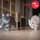 Ceva Feliway Friends Start-Set