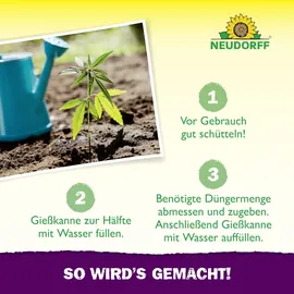 NEUDORFF Azet GrowDünger 1 l