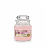 Yankee Candle Cherry Blossom kleine Kerze 104 g