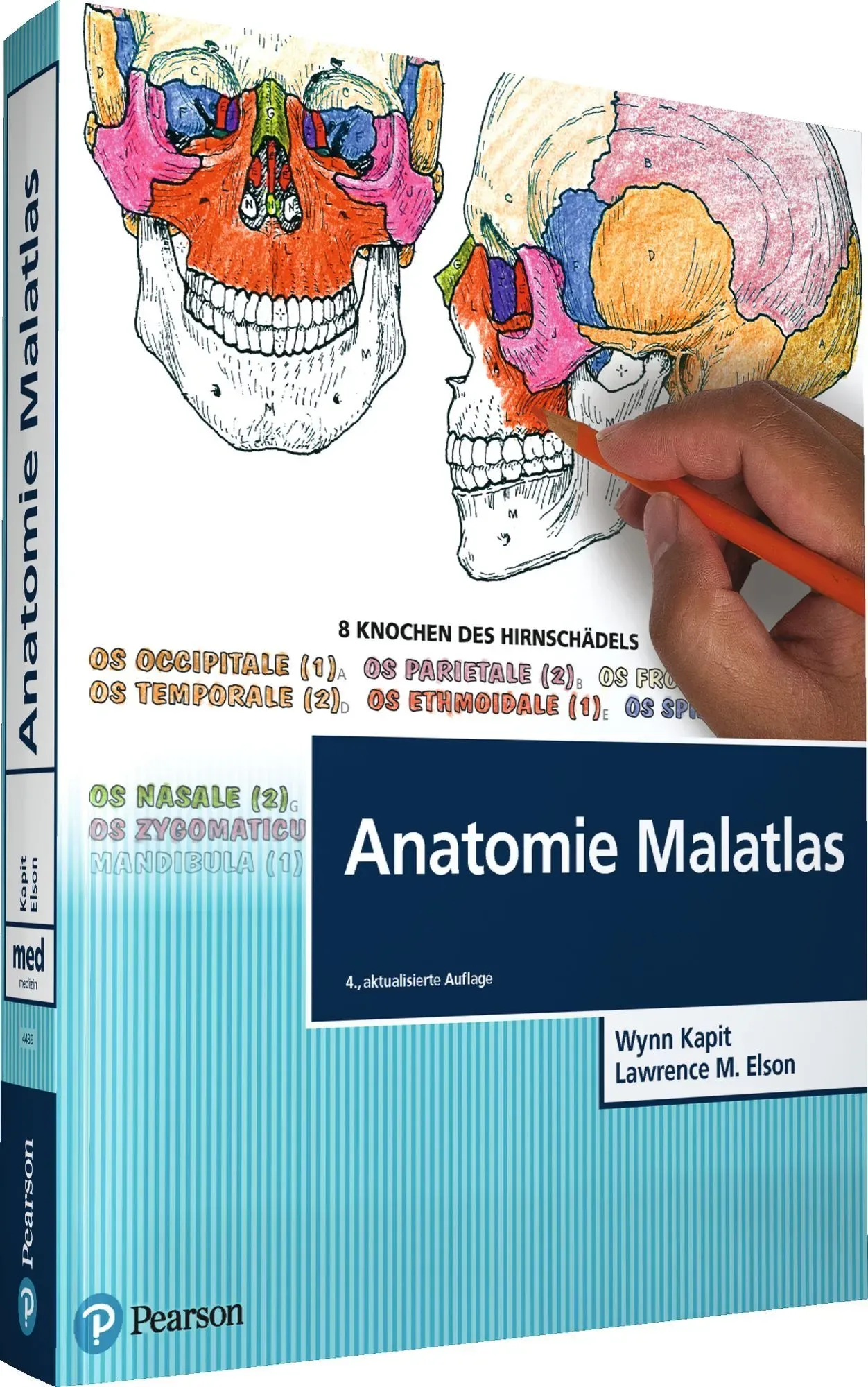 Anatomie Malatlas Buch 1 St