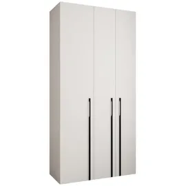 abiks möbel Drehtürenschrank COMO 120 x 245,5 x 50 cm Schwarz/Weiß