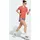 adidas Adizero Running Gel Pocket Shorts Erwachsene Grau XL