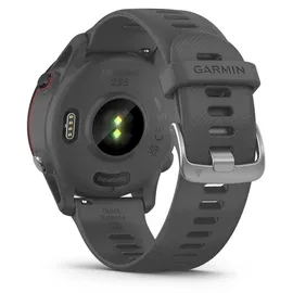 Garmin Forerunner 255 46 mm schiefergrau/schwarz