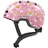 rose foxes M