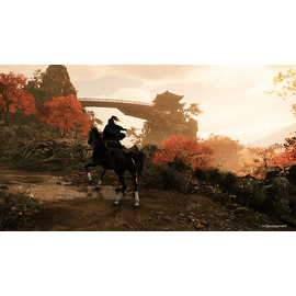 Rise of the Ronin (PS5)