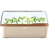 ROMBERG BoQube L Plus Gewächshaus 41 x 17 x 23 cm