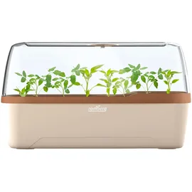 ROMBERG BoQube L Plus Gewächshaus 41 x 17 x 23 cm