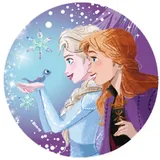 McNeill McAddys Disney FROZEN