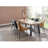 Habufa Arizona-Remon Esszimmer-Garnitur, 6 Sessel und 1 Ausziehtisch 190-250x105cm